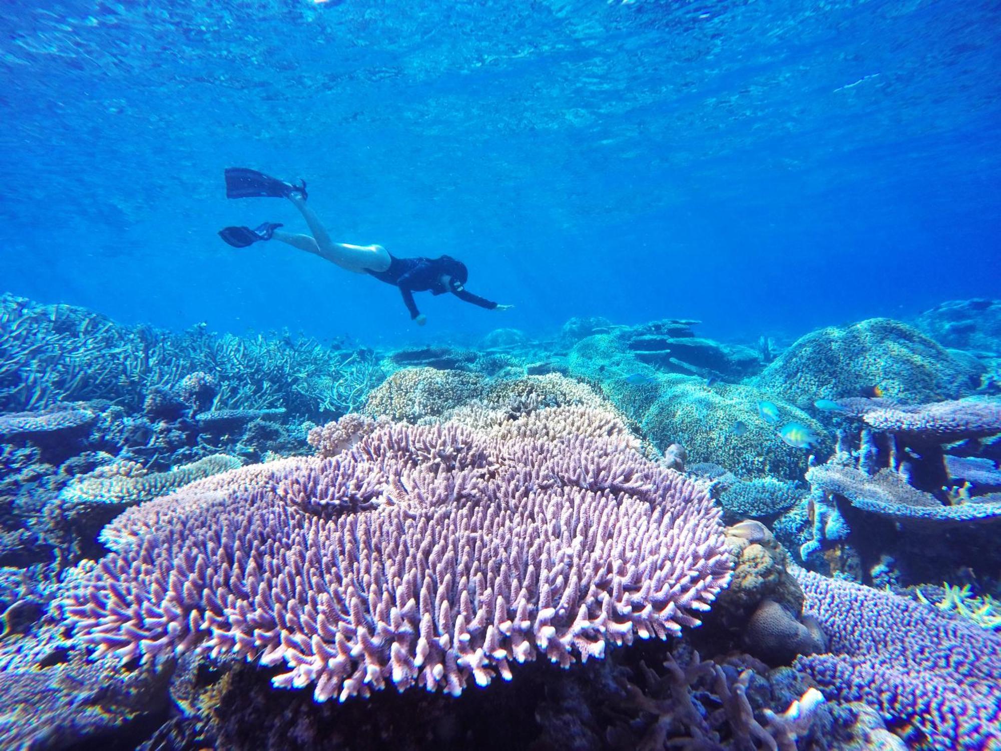 Bolilanga Island Resort - Togean Island Angkayo Buitenkant foto