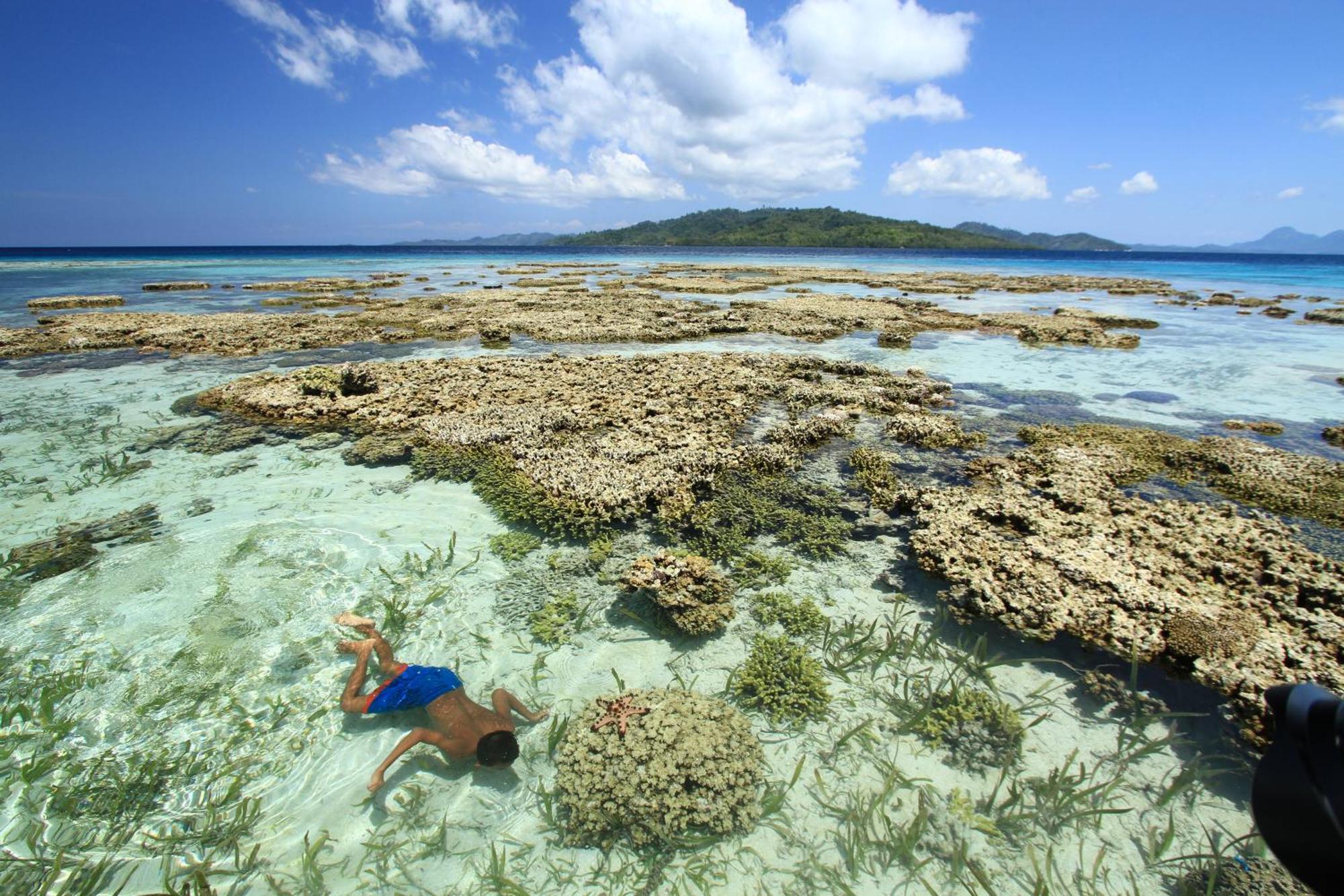 Bolilanga Island Resort - Togean Island Angkayo Buitenkant foto